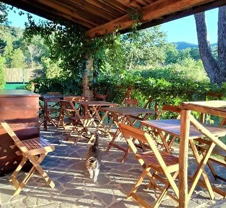 Podere 269 Castiglione della Pescaia